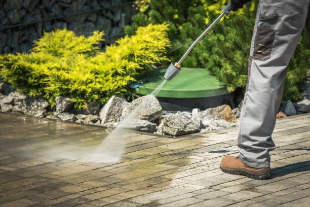 Best Spring Cleaning  in Arlington, TX